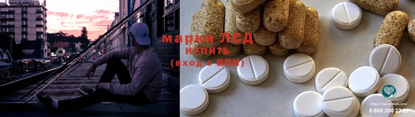 гидропоника Кодинск