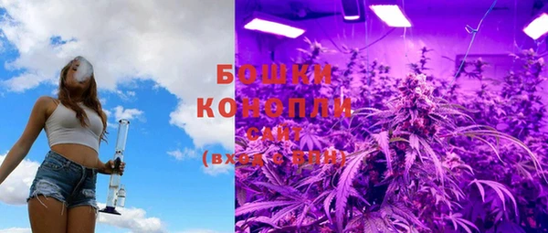 гидропоника Кодинск
