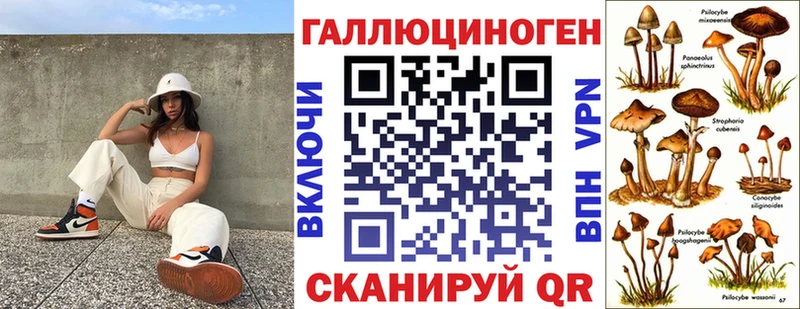 Псилоцибиновые грибы GOLDEN TEACHER  Купить  Беломорск 